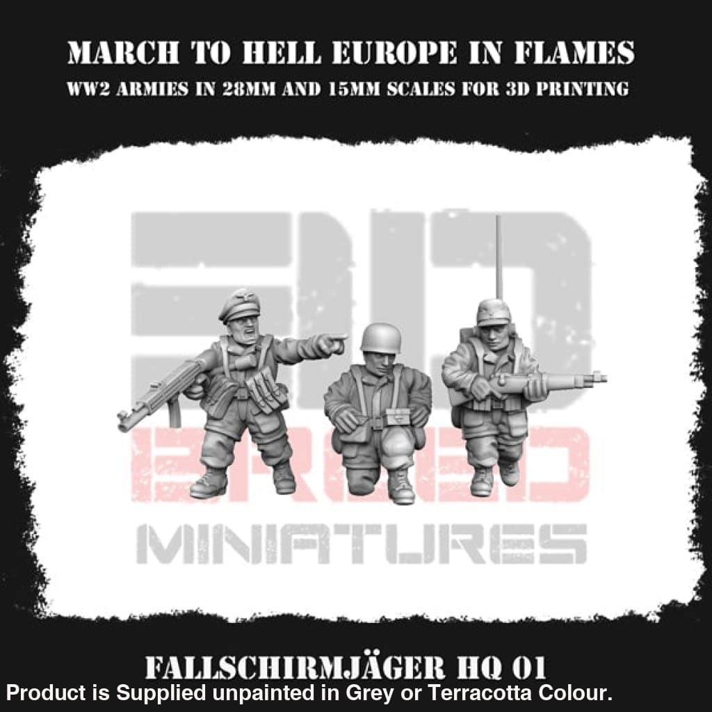 German Army (Fallschirmjäger) Hq 01 Figure